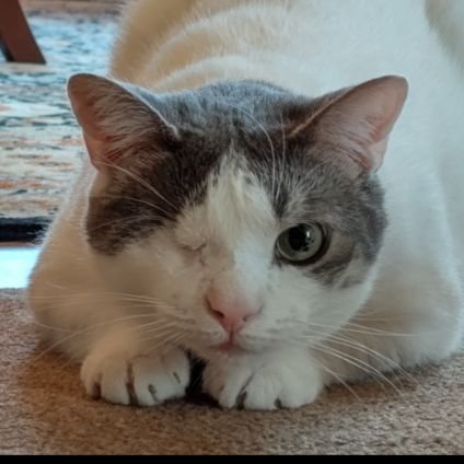 ksorce11's profile picture. 