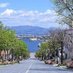 ₿龍一₿ (@hakodate240) Twitter profile photo ₿龍一₿ (@hakodate240) Twitter profile photo