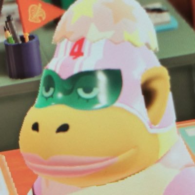 Satire Account. Rocket is the ugliest Animal Crossing character. Why don’t they let her take off that pink outfit?