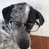 SRS #RaiseTheRate. Same @ on the blue place (@watinthe_) 's Twitter Profile Photo SRS #RaiseTheRate. Same @ on the blue place (@watinthe_) 's Twitter Profile Photo