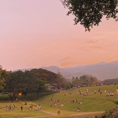 albfv124's profile picture. 