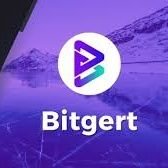 Everything about Bitgert Ecosystem and the Brise Token.