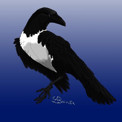 BonsuPhanie's profile picture. 