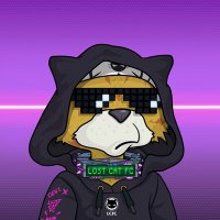 Lost Cat FUD Club (@lostcatfc) 's Twitter Profile