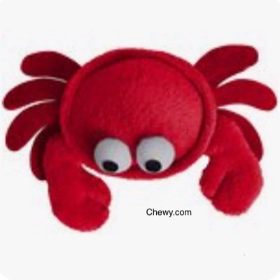 CrabbyCatToy Profile Picture