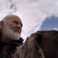 William P (@done4ever34) 's Twitter Profile