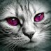 ãšãããð (@toshiro_9075) Twitter profile photo ãšãããð (@toshiro_9075) Twitter profile photo