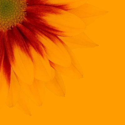 Exploring the metaverse and AI. Here are some retweets I like. I may tweet occasionally, too.
Photo by Allec Gomes from Pexels.