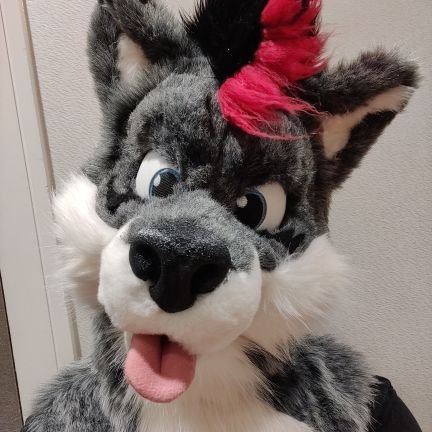 Taggz | 34 | He/Him | 
Artist | Suiter | Water loving wolf | Furry
Video Games | All pets & animals 🐶🐟🦎🐦
♥ @muddiedoggo is my lil hound ♥