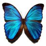 everythingCour1's profile picture. Everything Courses is a platform or entity focused on providing a wide array of educational courses. While there isn't a specific, universally recognized organi