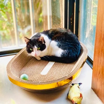 Dio59088849's profile picture. 