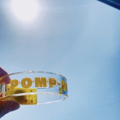 kanako79112's profile picture. 浪川大輔氏に出会って人生明るすぎな人間。ノンストレスです。KSC。つま塩。たまに川崎挟みます🏀