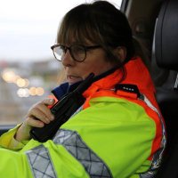 sharon mitchell (@sharongoldstar) 's Twitter Profile Photo