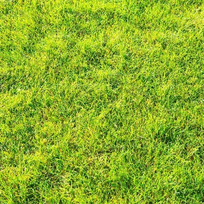 MongoosTest's profile picture. 