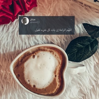 محبه للتصوير.