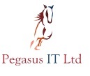 Pegasus IT Ltd provide IT Support, Consultancy, Cloud Hosted Services, Server Virtualization, Website Design, CCTV and Cabling Installations.