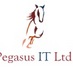 Pegasus IT Ltd (@PegasusIT) Twitter profile photo