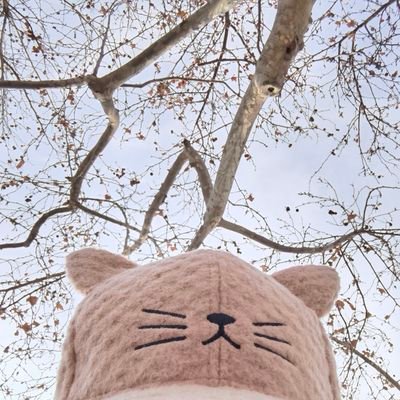 Shuya. Wさんのプロフィール画像