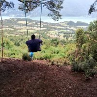 Luis Peranchiguay C. 🤘 (@pera334) 's Twitter Profile