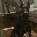 Christopher McCall - @tophMcCall - Twitter