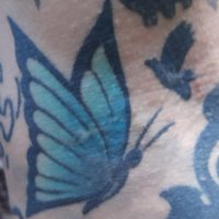 Volker Paul (@volker2702) 's Twitter Profile