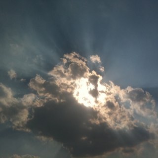 cleattle34's profile picture. 🚫💷💴💶🏧📤🇺🇦🔲🤺🇲🇽J6️⃣🆓