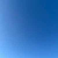 折酒 (@olsh) 's Twitter Profile