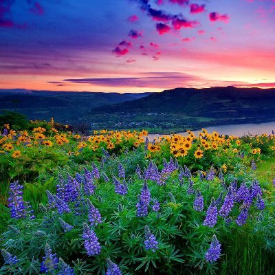 BichThao95's profile picture. Bích Thảo