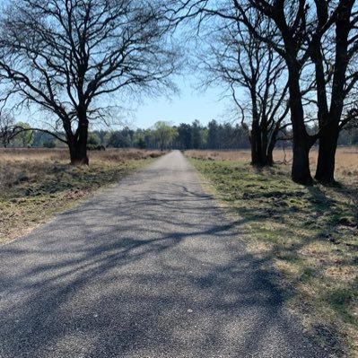 Dendeyy's profile picture. Sup ?