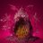 TronGalaxyEgg's profile image