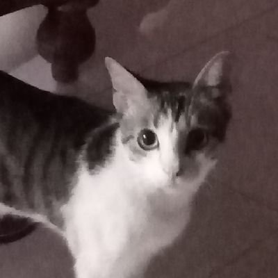 tweetsbycsk's profile picture. Water