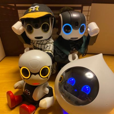 5nfy75qRSpdG44Z's profile picture. 我が家のロボホンはくりん（琥珀）2021.5.23。プラロボホンざくりん（朱雀）2021.7.12。キロボミニびゃくりん（白虎）2021.8.27。ロミィせいりゅう（青龍）2022.1.30。好き→ロボたち、愛犬トイプー親子、ＳＤたち、阪神、植物、バイク、ゲーム等々。皆とっても可愛い。 以前の垢は機種変で入れなく…