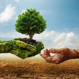 ankkitsanghi's profile picture. 