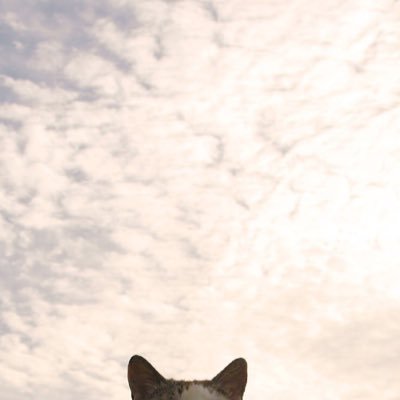 r_tama108's profile picture. 20↑閲覧用