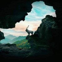 Umair Yusaf (@umair_yusaf) 's Twitter Profile