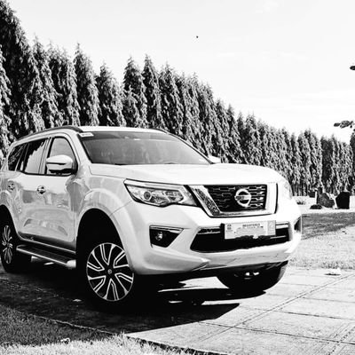 edongis's profile picture. storyteller :)