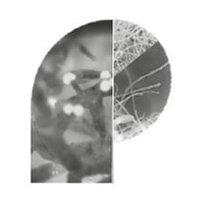 PAINSTORM Consortium For Neuropathic Pain (@painstorm_apdp) 's Twitter Profile Photo PAINSTORM Consortium For Neuropathic Pain (@painstorm_apdp) 's Twitter Profile Photo