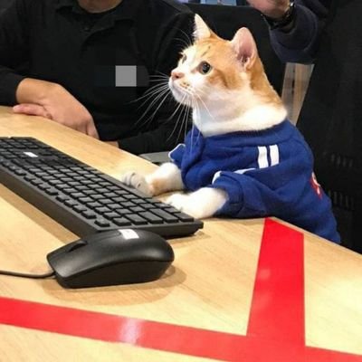 andimuhryanto's profile picture. an outlier, hidden and resilient