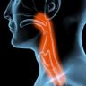 BiozoonUK's profile picture. Innovative products designed for those suffering from dysphagia
