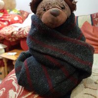 🐻Francis Leigh Centurion 🐻 (@fluffkinsb) 's Twitter Profile