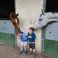 Neil Dodds (@neildodds2) 's Twitter Profile Photo Neil Dodds (@neildodds2) 's Twitter Profile Photo