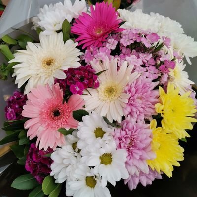 tirci_ozkan's profile picture. 184 boy 85 kilo 35 yaşındayım 

İlgi alanım kadınlar