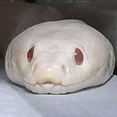 suzuさんのプロフィール画像