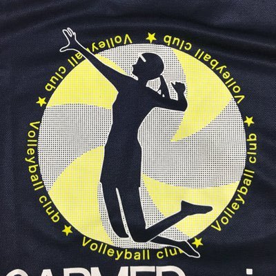 試される大地のそろそろ駆け出しとも言えなくなってきた整形外科医 愛猫を愛でバレーしたりみたりしながらBUMP OF CHICKENのライブに行くことが生き甲斐