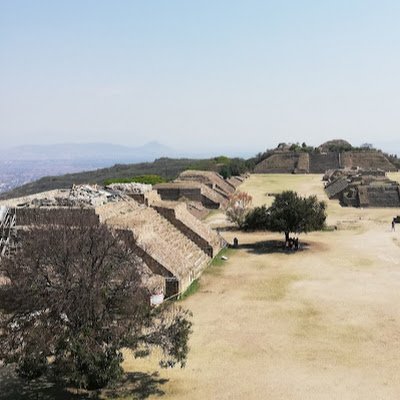 FlorianReynel's profile picture. Crypto addict