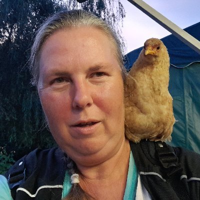 massgessonores's profile picture. Musicienne professionnelle, je propose des concerts avec nos différents formations, des cours, des stages ainsi que des massages sonores pour humains et équidés