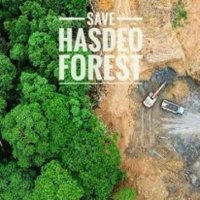 #SaveHasdeo 💚 #SaveHasdeoForest 🌴🐘 #Savesoil🌏(@shilpa_vn) 's Twitter Profile Photo