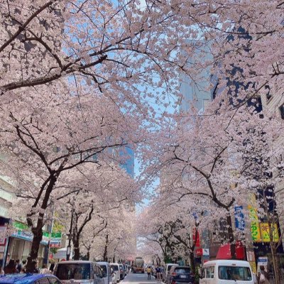 koumuinminkan's profile picture. 22受験…併願/ 国般・国税・地上・特別区・市役所、民間内定🌸　（基本平日はお返事遅くなります）