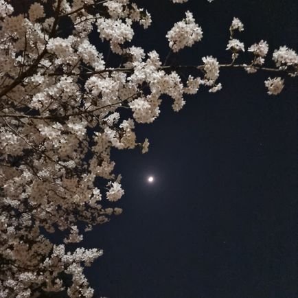 devinit11's profile picture. 👩‍💻프론트엔드 신입 개발자입니다
다양한 이야기를 듣고싶어 트위터를 시작했어요