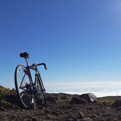 好きなことを仕事にしている人/🇬🇧での #自転車旅 経験あり /1人ライド専門/ジェンダーバイアス苦手/#ボランティア 積極参加中/普通じゃない人目指し中【自転車】Terrain MTB→Apollo Elusion MTB→ GIOS Mistral & Raleigh CRT エントリーモデル(未カスタム)